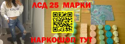 шишки Гатчина