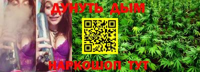 шишки Гатчина
