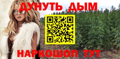 сатива Гай