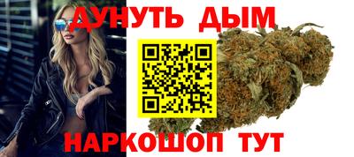 сатива Гай